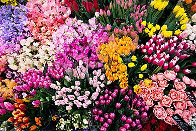 《战地2042》背后开发内幕：实际开发只有1年3个月